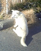 Image2177.jpg