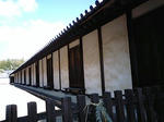 345b6e48.jpg
