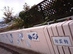 24cb9a44.jpg