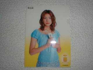 上原多香子 ＮＴＴ docomoの非売品クリアファイル！SPEED