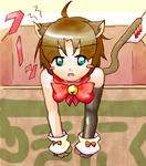 kzmcat.jpg