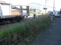 CIMG0335.jpg