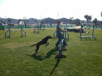 CIMG0576.jpg