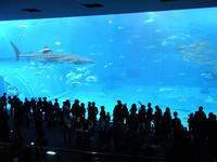 PC300753.jpg