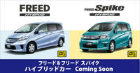 freed-freedspike01-1008.jpg