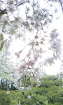 110417_172222.JPG