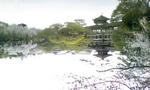 110417_173846.jpg