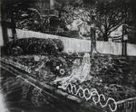 10u_backyard.jpg