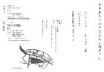 DM02.gif