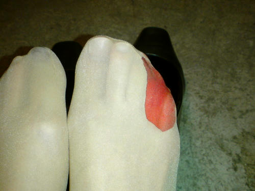 SN3D0270.jpg