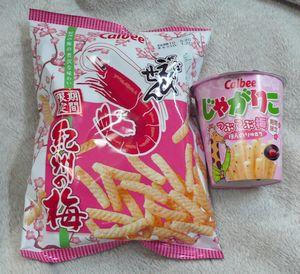 20100204-04.jpg