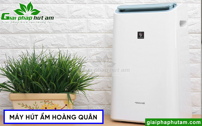 máy hút ẩm giá bao nhiêu