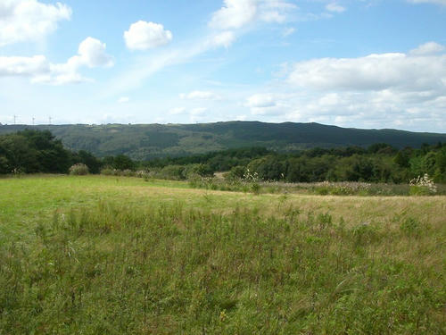 グリ・ラン・ヒル（仮）全景