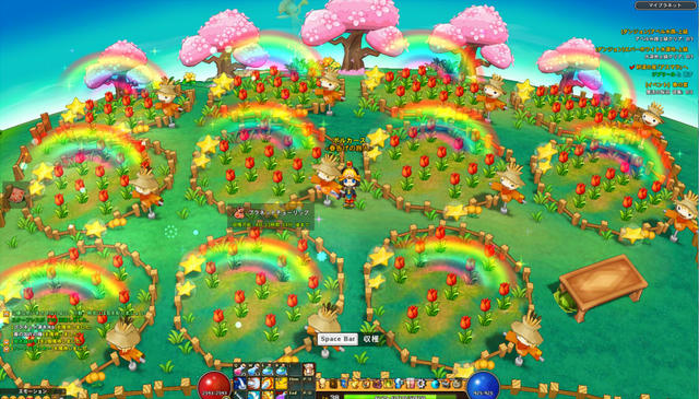 畑のチューリップ