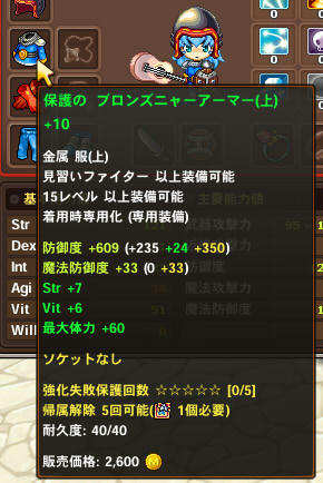 ポルキッシュ　装備強化+１０