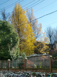 画像ファイル "https://blog.cnobi.jp/v1/blog/user/49c2eb87112434e9763758fdfecb9acd/1229257170" は壊れているため、表示できませんでした。