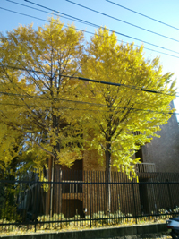 画像ファイル "https://blog.cnobi.jp/v1/blog/user/49c2eb87112434e9763758fdfecb9acd/1229257355" は壊れているため、表示できませんでした。