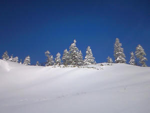 kawaba-jan4mumeihou.JPG