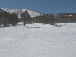 22Mar2010-madarao-christal-early.jpg