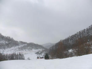 DSCF0997.jpg