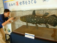 深海生物展