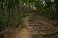多峰主山