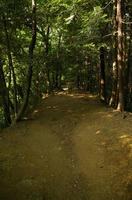山道