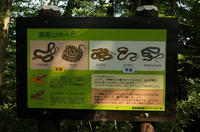 ヘビ看板
