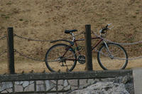 自転車とスズメ