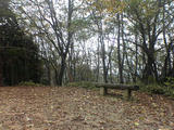 DSC00321.JPG