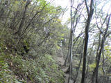 DSC00322.JPG