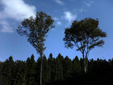 DSC00337.JPG