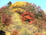 DSC00370.JPG