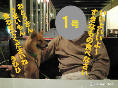 犬バカ１号 2号 ３号 Dog Cafe へ行く わさび音 Wasabi Ne