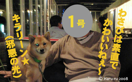 犬バカ１号 2号 ３号 Dog Cafe へ行く わさび音 Wasabi Ne