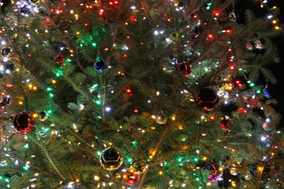 IMG_6263.JPG