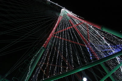 IMG_6832_1.JPG