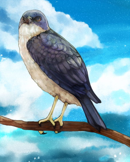 8a612a95.png