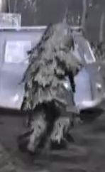 cod1.jpg