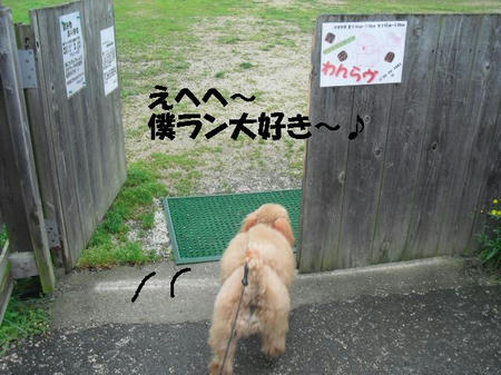 CIMG2359.JPG