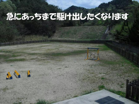 CIMG2393.JPG