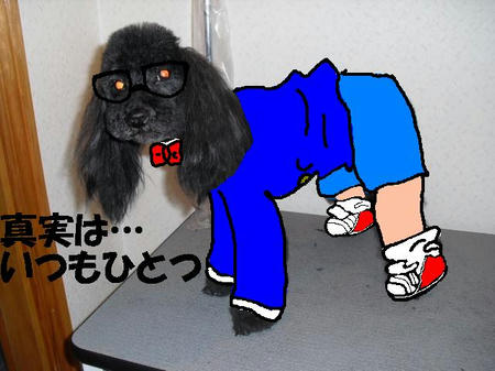 1f4fdf4e.JPG
