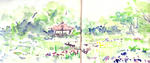 shirokita_Iris