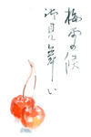 summer_greetingcard