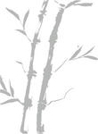 bamboo