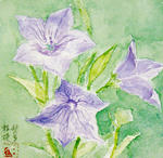 kikyou