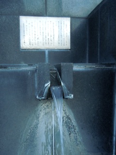 DSCN8132.JPG