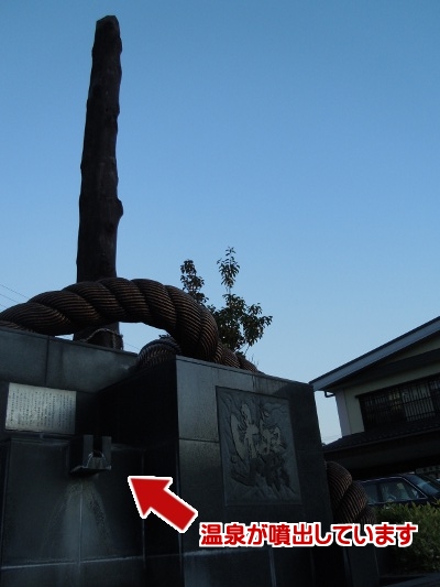 DSCN8130.jpg