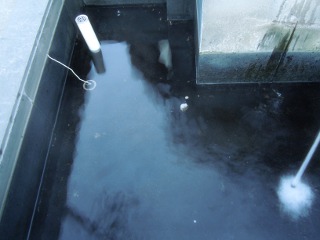 DSCN8134.JPG
