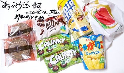 同人誌即売会閃華の刻9年納差入